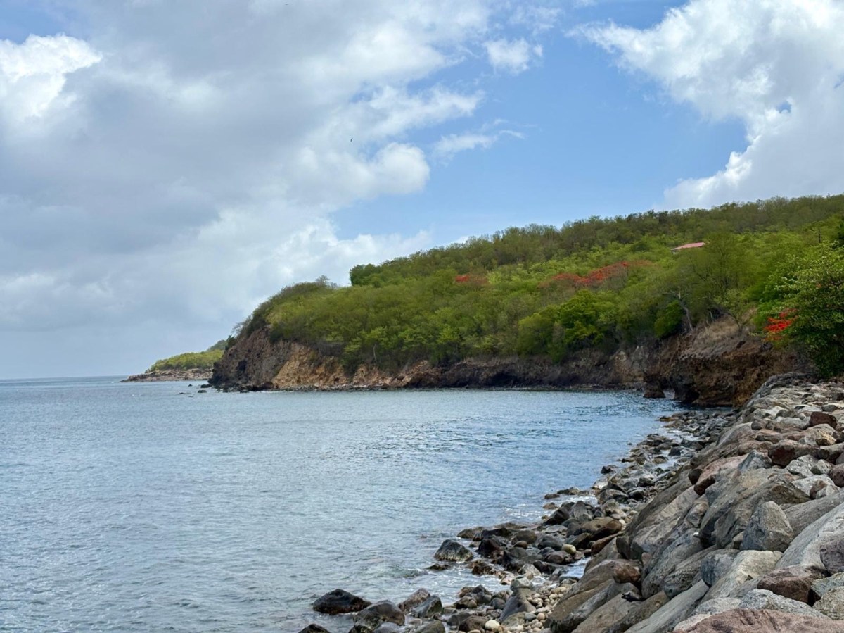 Deshaies-Basse Terre :&nbsp;55km